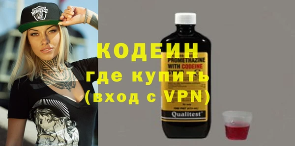 шишки Весьегонск