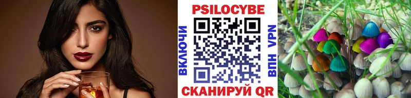 Псилоцибиновые грибы Psilocybe Гуково
