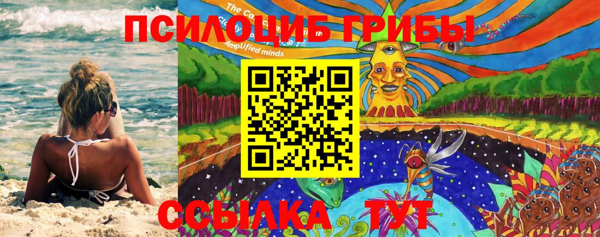 Псилоцибиновые грибы Psilocybe  Псилоцибиновые грибы ЛСД  Гуково 