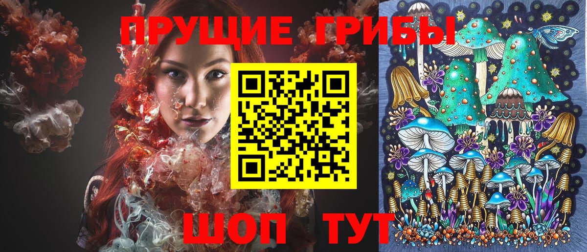 Псилоцибиновые грибы мухоморы Гуково